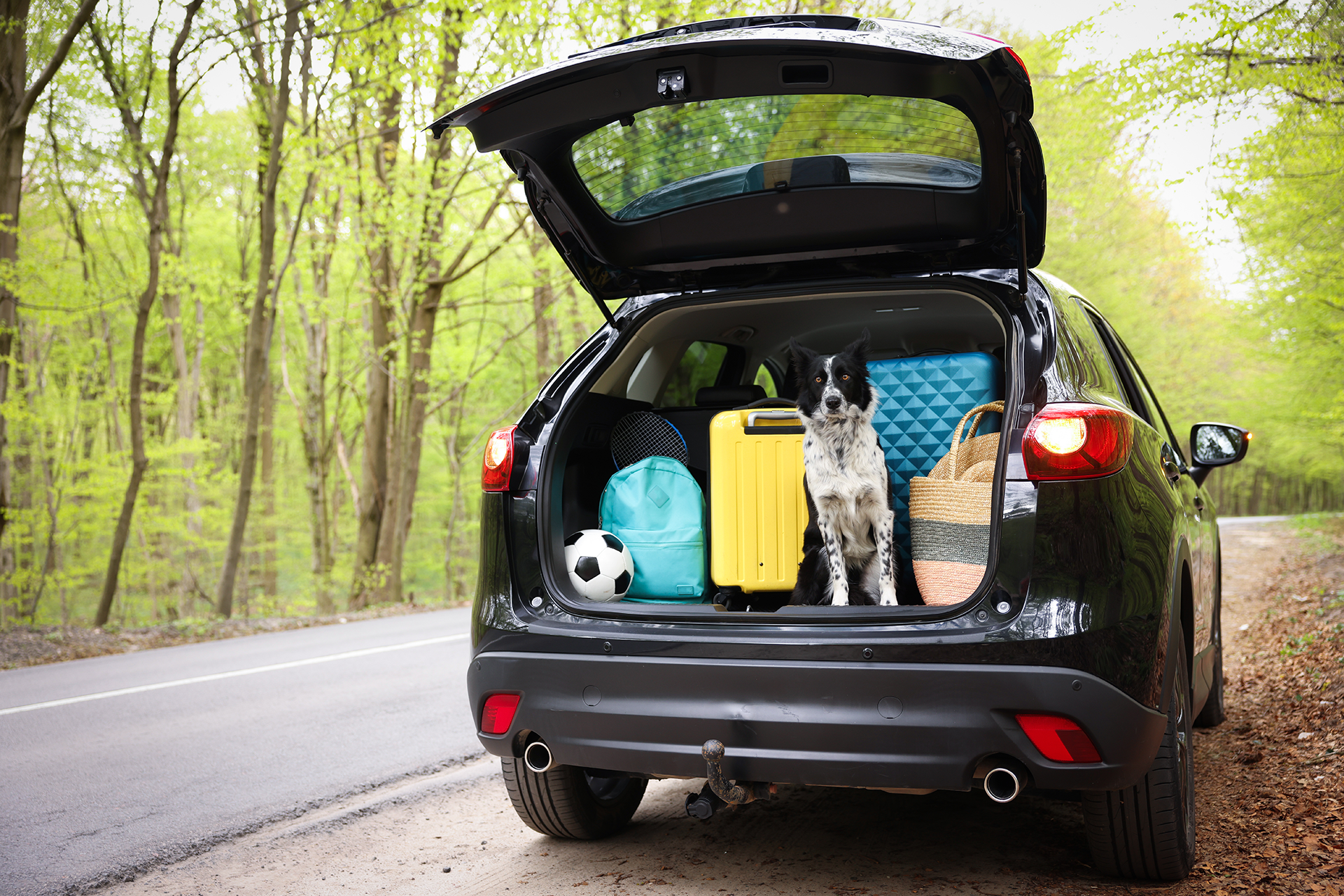 Met de auto op vakantie? Dit is prettig om vooraf te weten