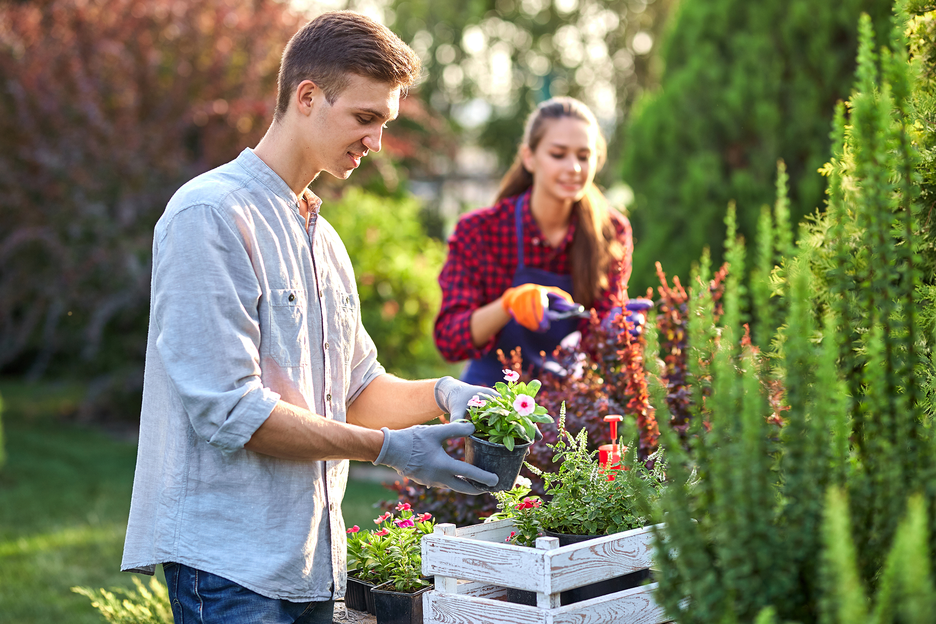 Tuin klaar voor het nieuwe seizoen?